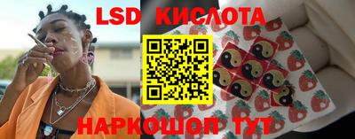 гашик Камышлов