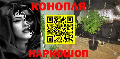 дмт Кандалакша