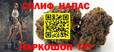 гашик Камышлов